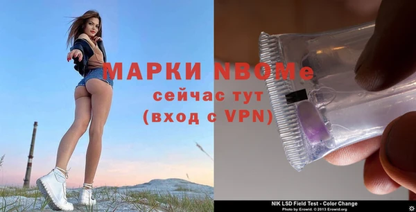 мет Алексин
