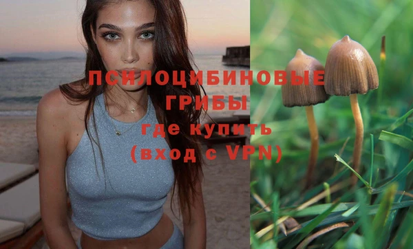 мет Алексин