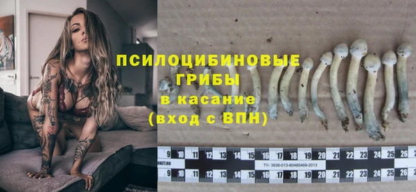 спиды Алзамай