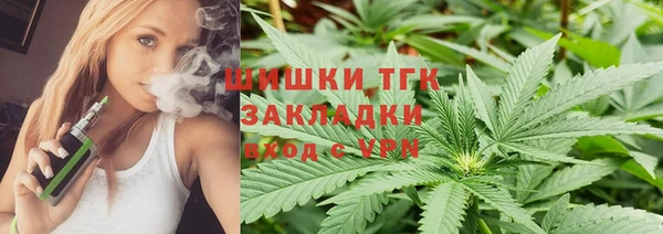 мет Алексин