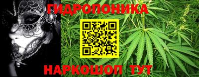 каннабис Кандалакша