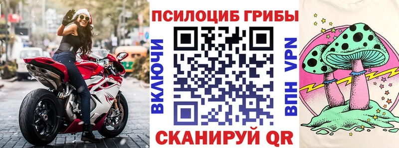 Галлюциногенные грибы прущие грибы  Ленинск-Кузнецкий 