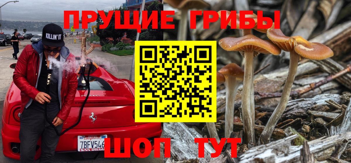 Галлюциногенные грибы прущие грибы  Вход с VPN  Псилоцибиновые грибы MAGIC MUSHROOMS  Ленинск-Кузнецкий 