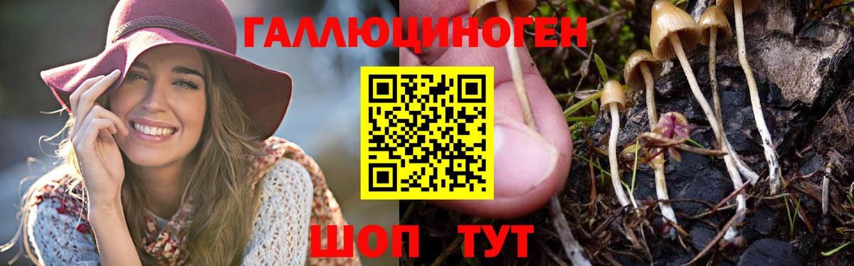 Псилоцибиновые грибы ЛСД Ленинск-Кузнецкий