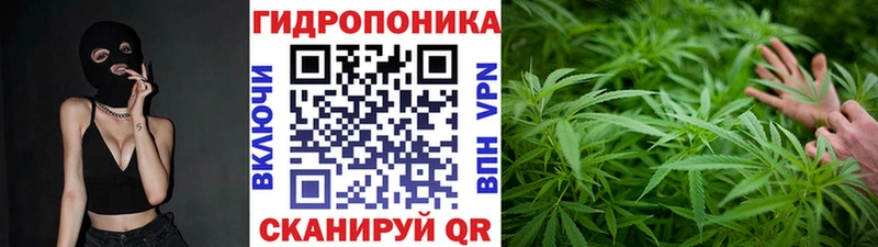 Шишки марихуана план  Ленинск-Кузнецкий 